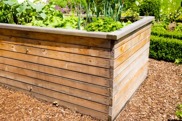 Stylish ways to grow your own vegetables
